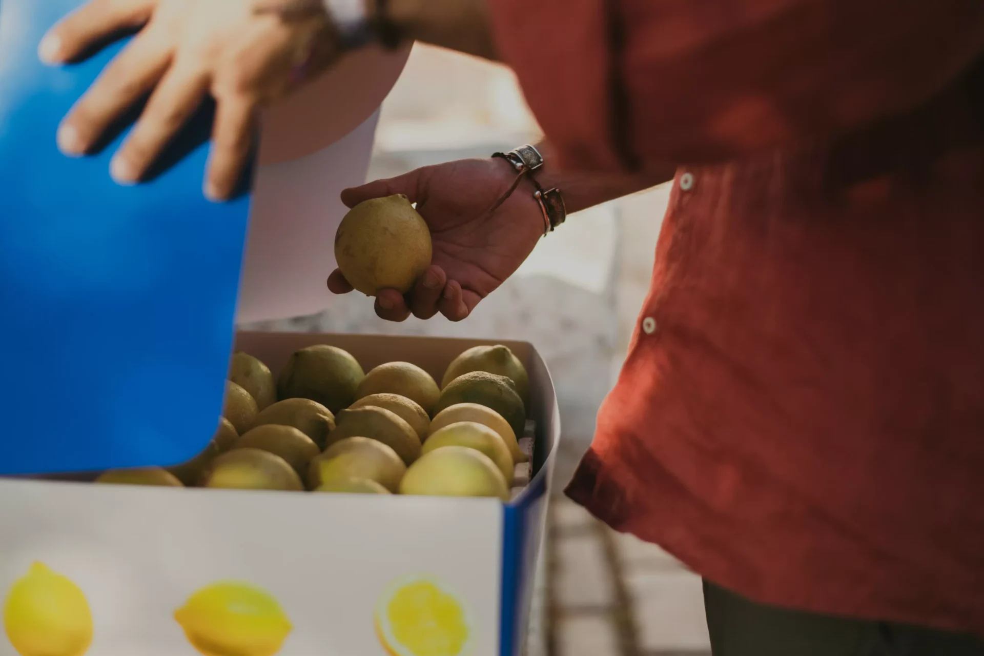 Limoni Femminello Siracusano